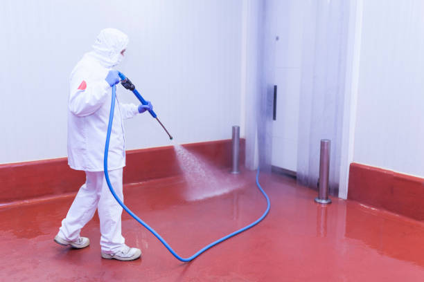 Best Paint Preparation  in St Bernard, OH